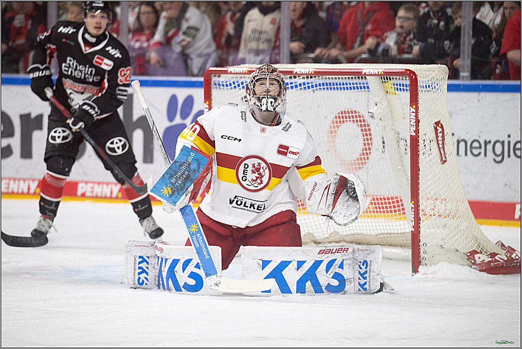 PENNY DEL; Koelner Haie-Duesseldorfer EG ; Koeln, 16.02.2025